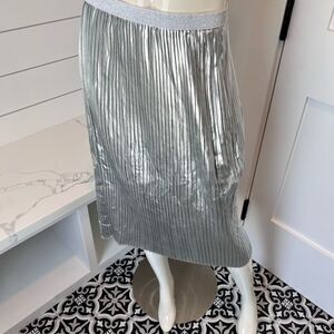 Zara Silver Midi A-Line Skirt
